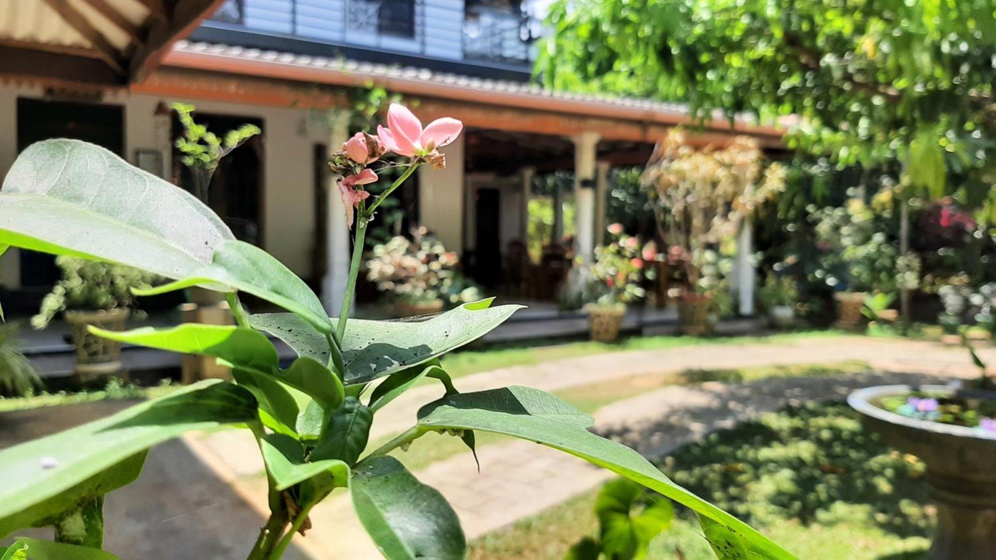 The Green Heritance - Habarana Hotel Luaran gambar